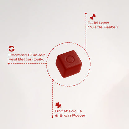 Daily Creatine Gummy